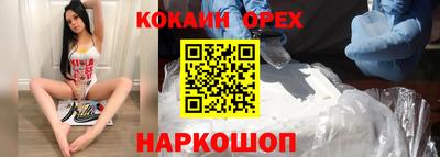 индика Гай