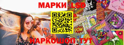 индика Гай