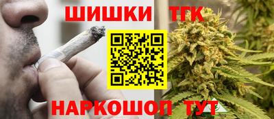 индика Гай