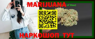 индика Гай
