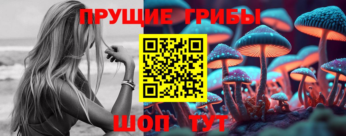 Оренбург  Галлюциногенные грибы GOLDEN TEACHER  Вход с VPN 